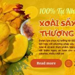 Xoài Sấy Dẻo Thượng Hạng