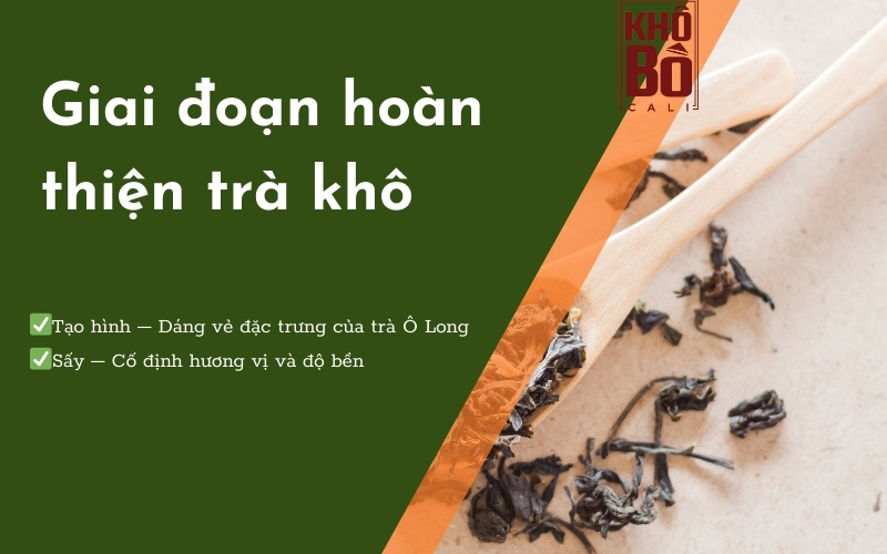tác dụng của trà ô long tác dụng của trà ô long