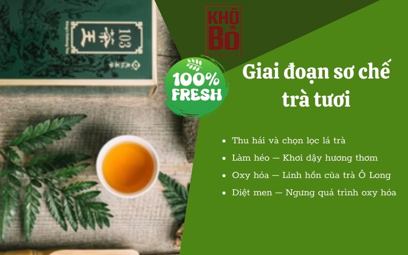 tác dụng của trà ô long tác dụng của trà ô long