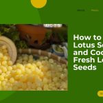 Buy Lotus Seeds