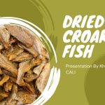 dried croaker fish