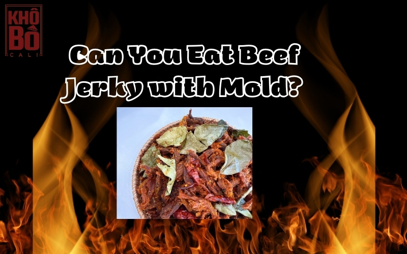 Mold on Beef Jerky