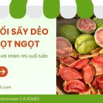 tự làm ổi sấy dẻo