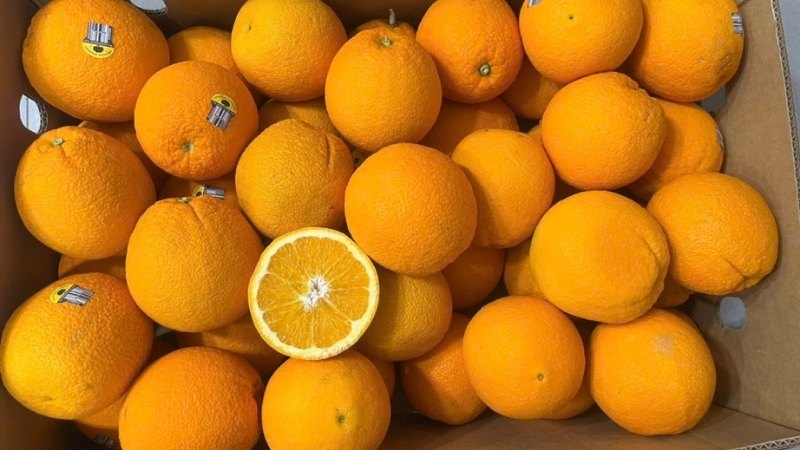 Cam Úc Có Tốt Không