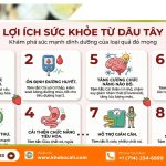 công thức dâu tây sấy dẻo